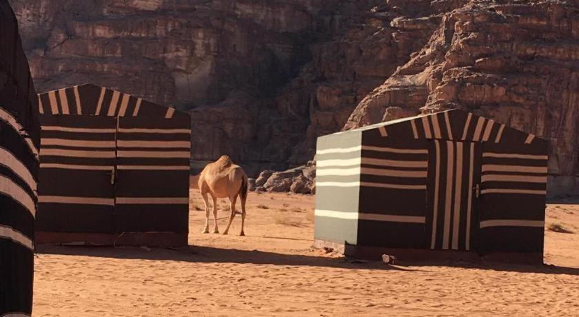 Wadi Rum Desert Heart Camp Buitenkant foto