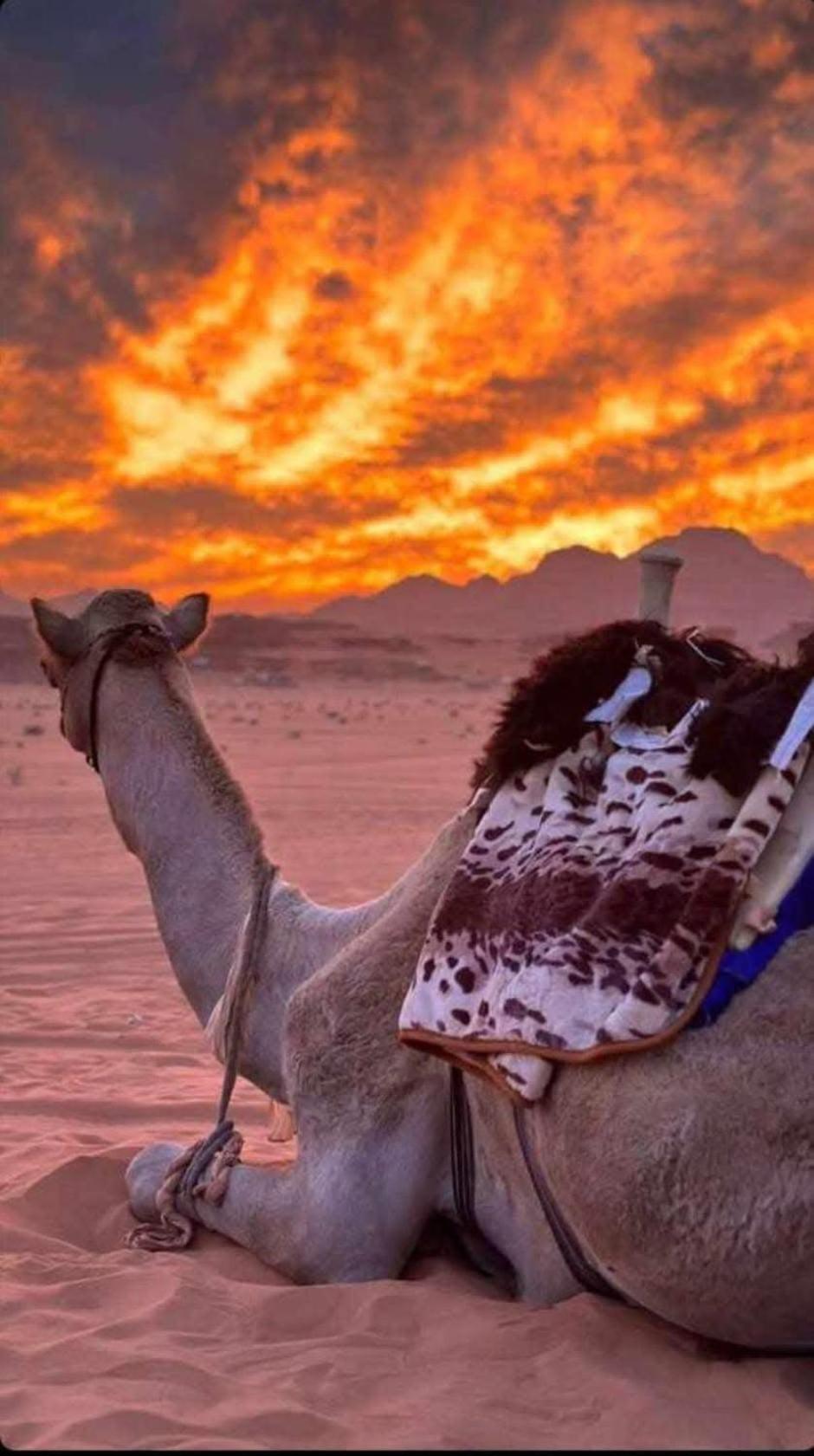 Wadi Rum Desert Heart Camp Buitenkant foto